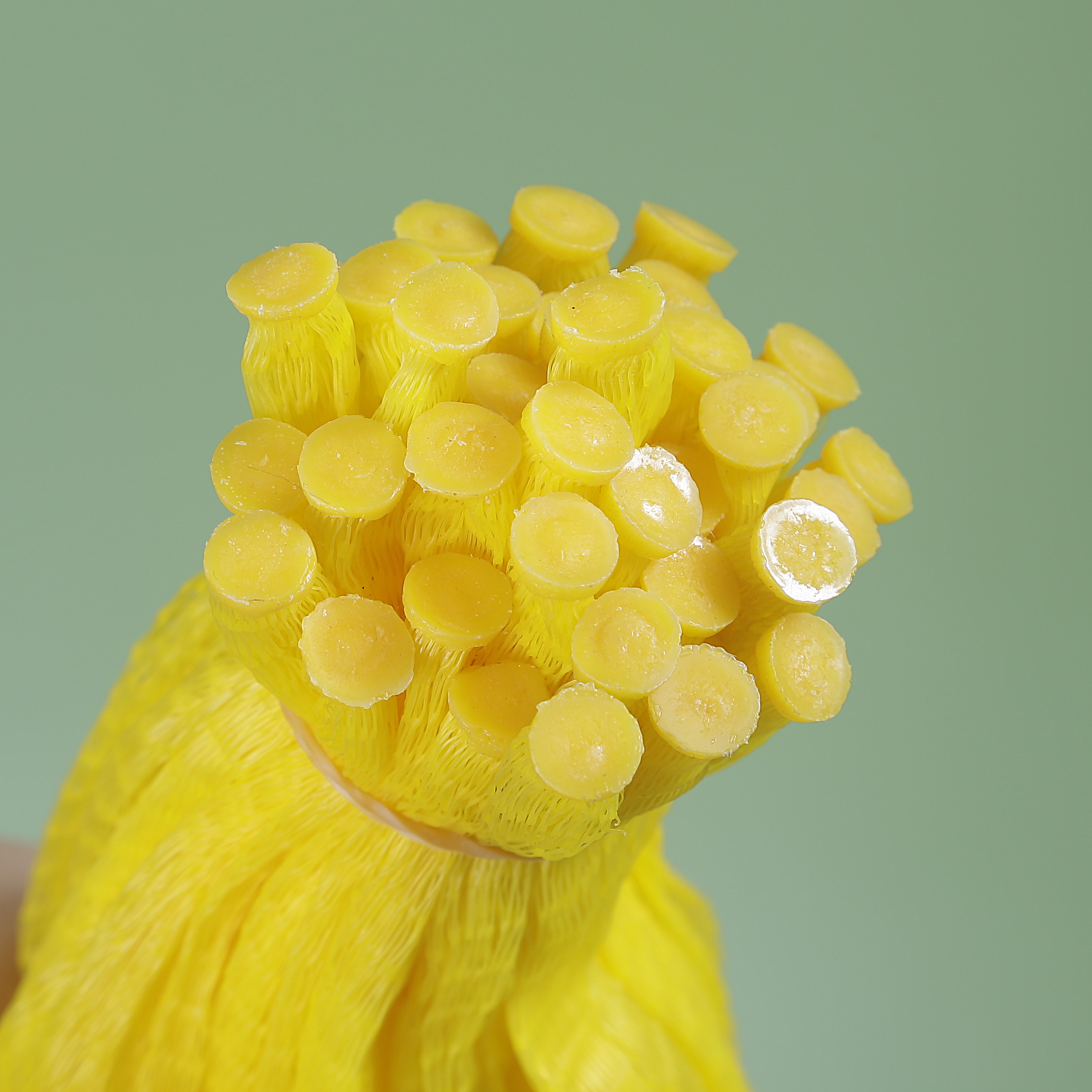 Sacos de rede de plástico em malha extrudada Em rolo Embalagem Alho Cebola Fruta Ovos Sacos de manga de malha tubular